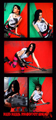 Click to view larger